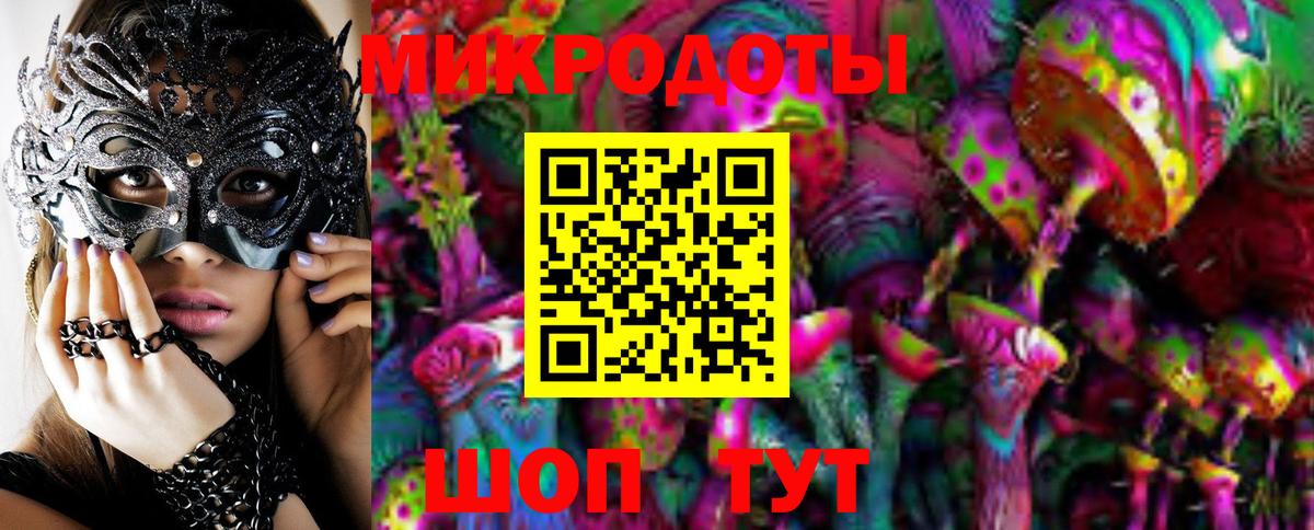 Галлюциногенные грибы Psilocybine cubensis Краснознаменск