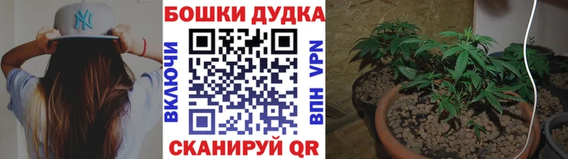 наркотики  Краснознаменск  Каннабис Bruce Banner 
